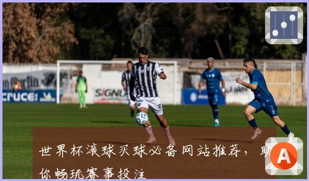 世界杯滚球买球必备网站推荐，助你畅玩赛事投注