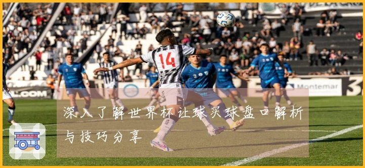 深入了解世界杯让球买球盘口解析与技巧分享