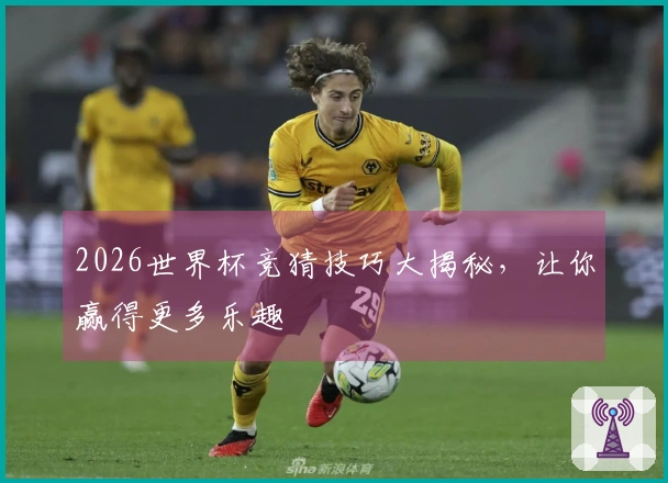 2026世界杯竞猜技巧大揭秘，让你赢得更多乐趣