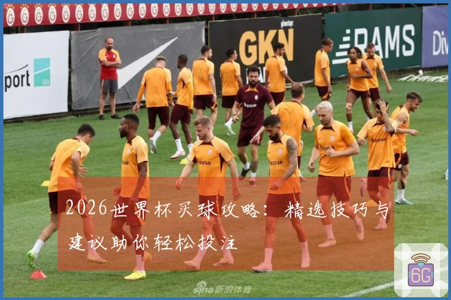 2026世界杯买球攻略：精选技巧与建议助你轻松投注