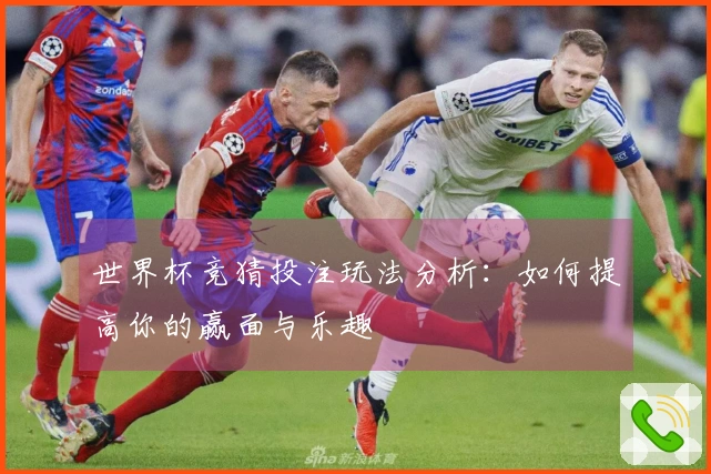 世界杯竞猜投注玩法分析：如何提高你的赢面与乐趣