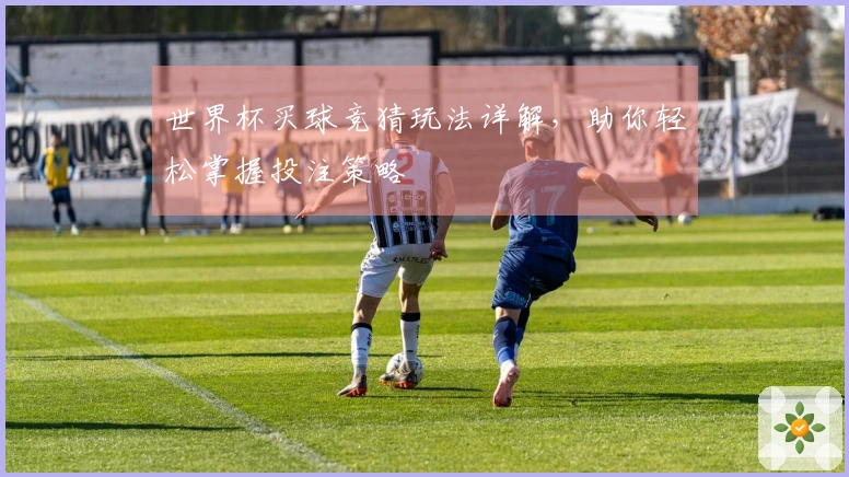 世界杯买球竞猜玩法详解，助你轻松掌握投注策略