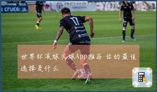 世界杯滚球买球App推荐 你的最佳选择是什么