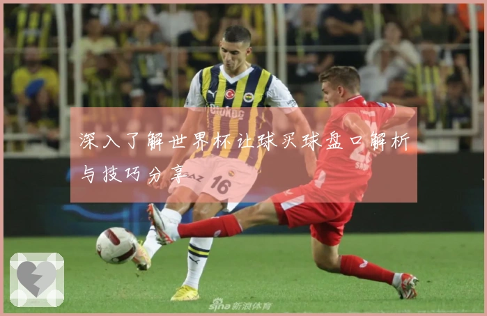 深入了解世界杯让球买球盘口解析与技巧分享