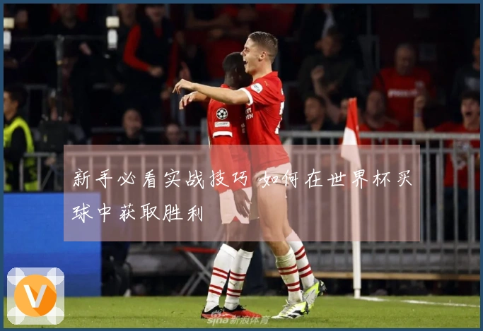新手必看实战技巧 如何在世界杯买球中获取胜利