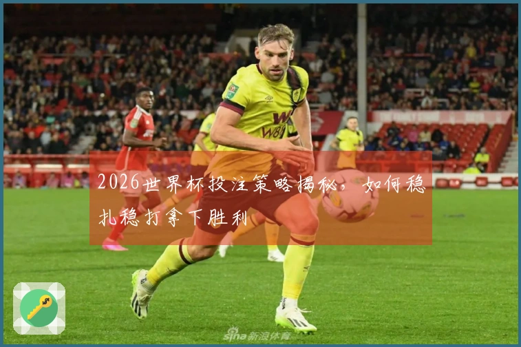 2026世界杯投注策略揭秘，如何稳扎稳打拿下胜利